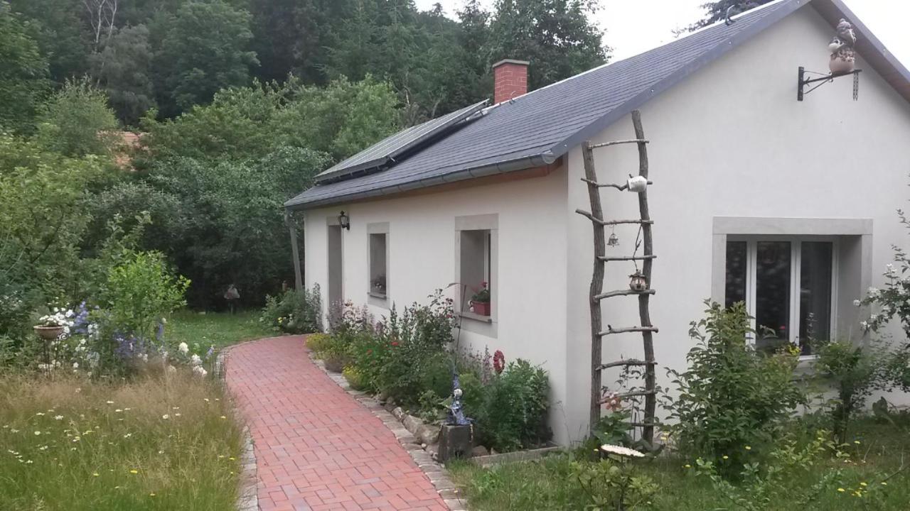 Vila Pochebachhaeusl Kurort Jonsdorf Exteriér fotografie